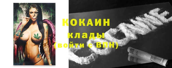 гашик Карталы