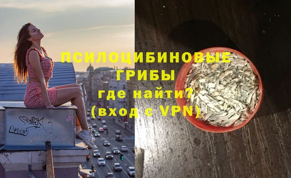 гидра Касимов