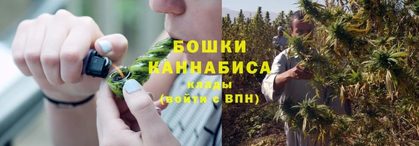 гидра Касимов